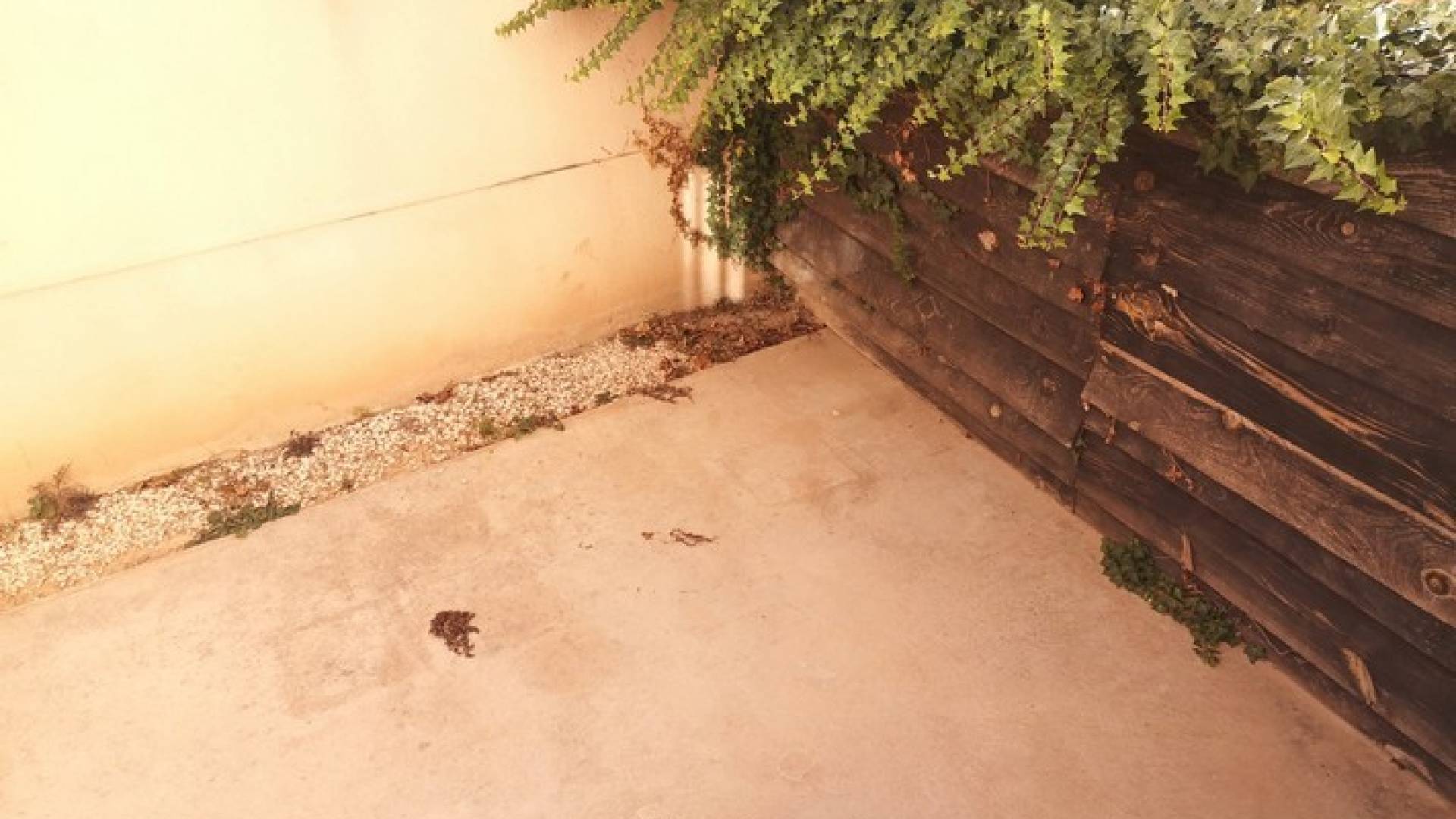 Second hand - 2. Town house - Los Montesinos - La Herrada