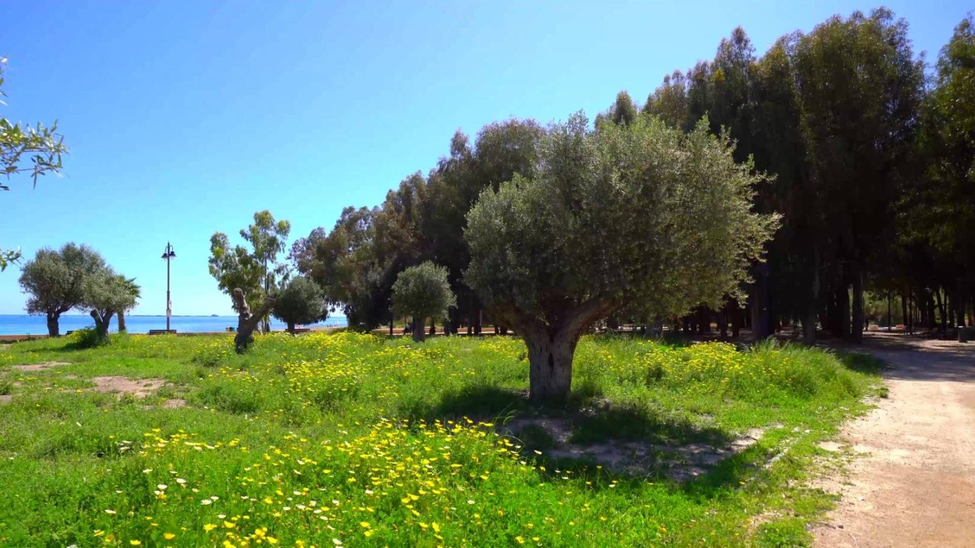 Second hand - Adosado - Villajoyosa