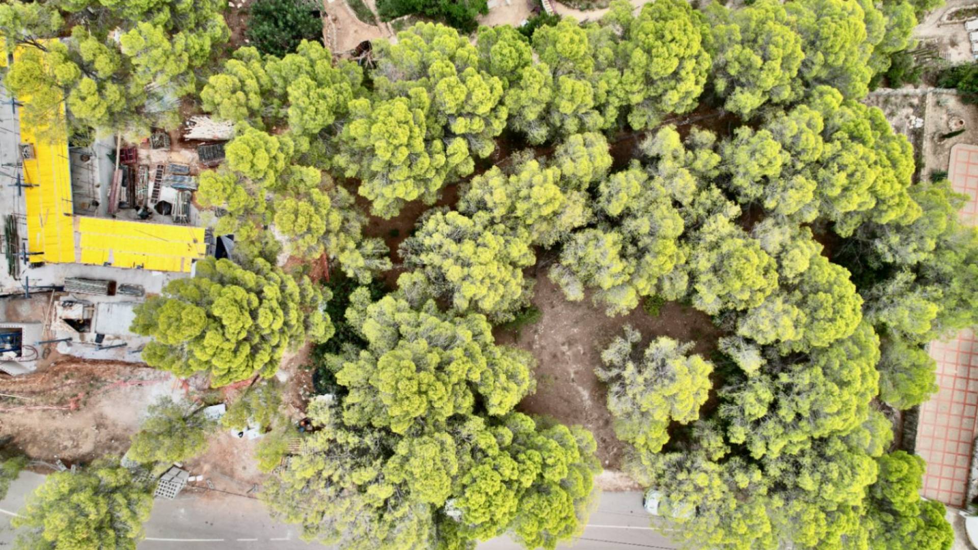 Second hand - - - Altea - Galera las palmeras