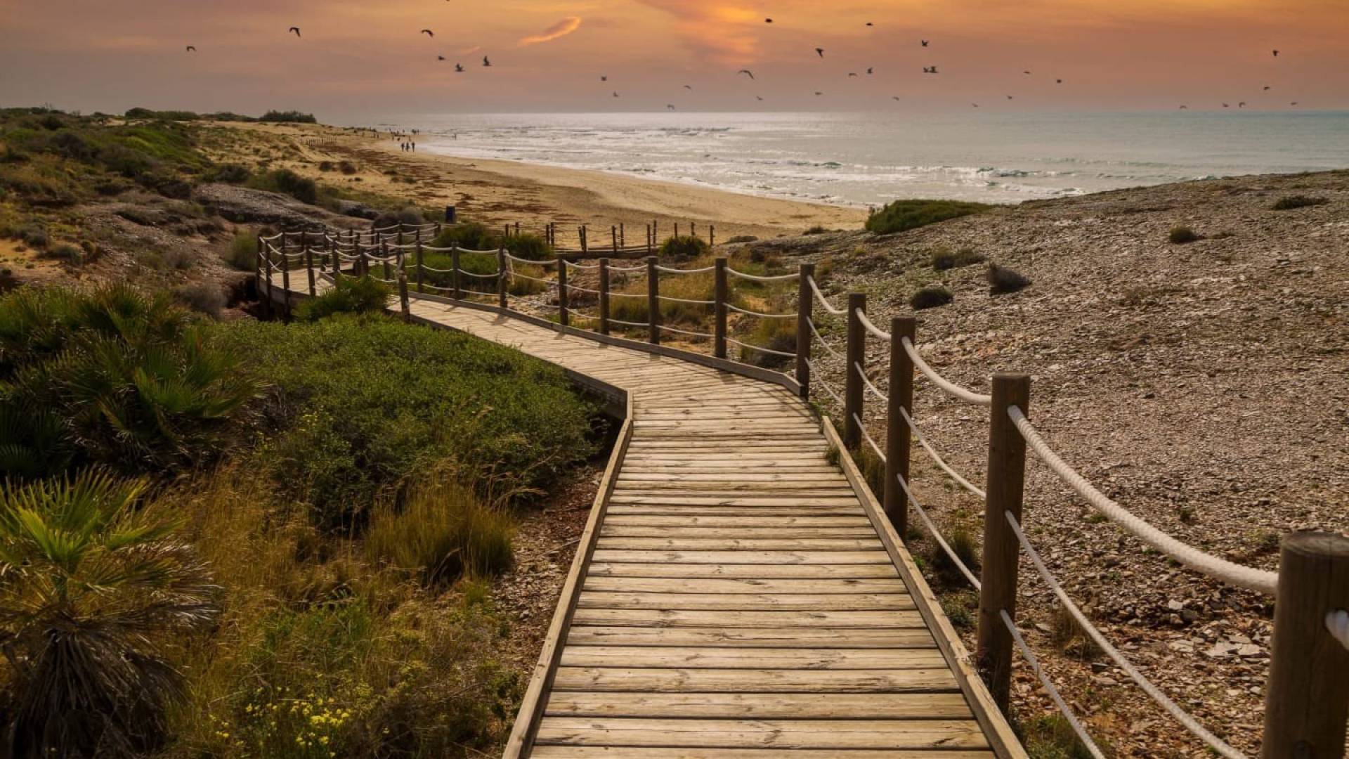 Second hand - Apartamento - CARTAGENA - Playa Honda