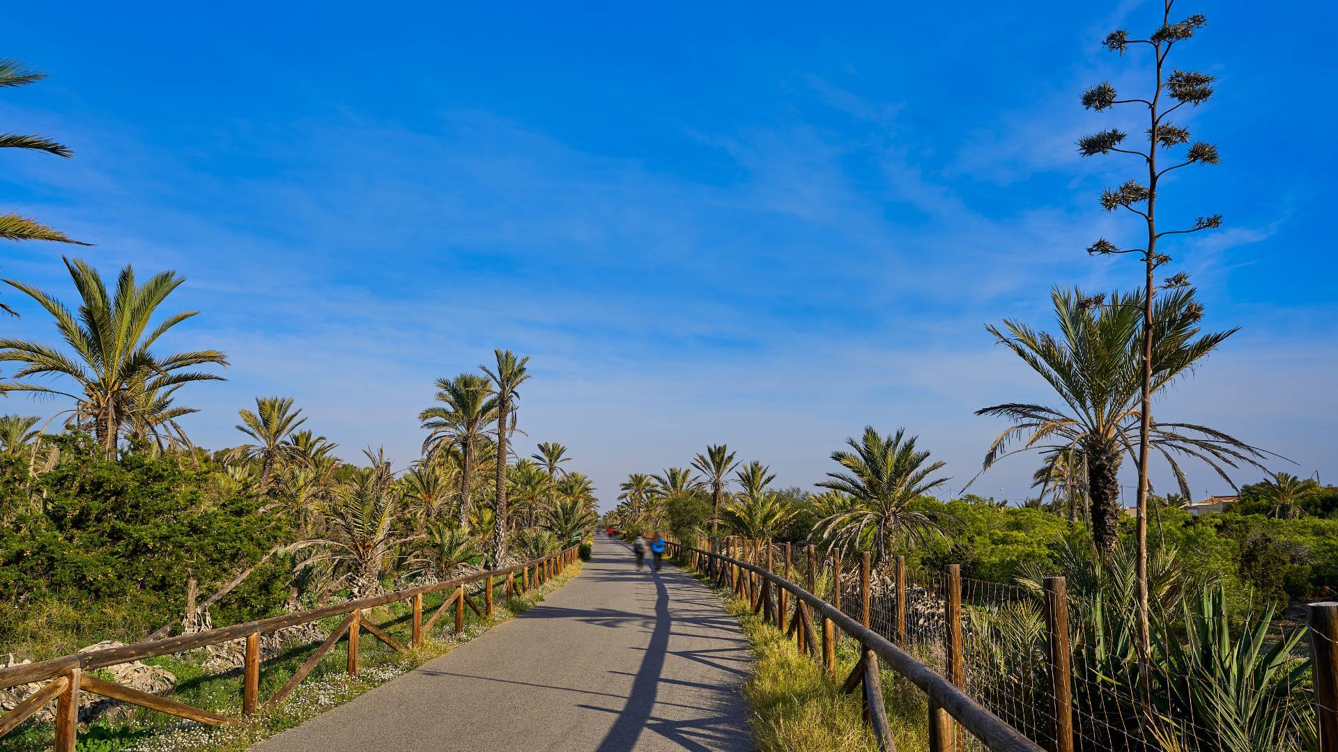 Second hand - Apartamento - Guardamar del Segura - Guardamar Playa