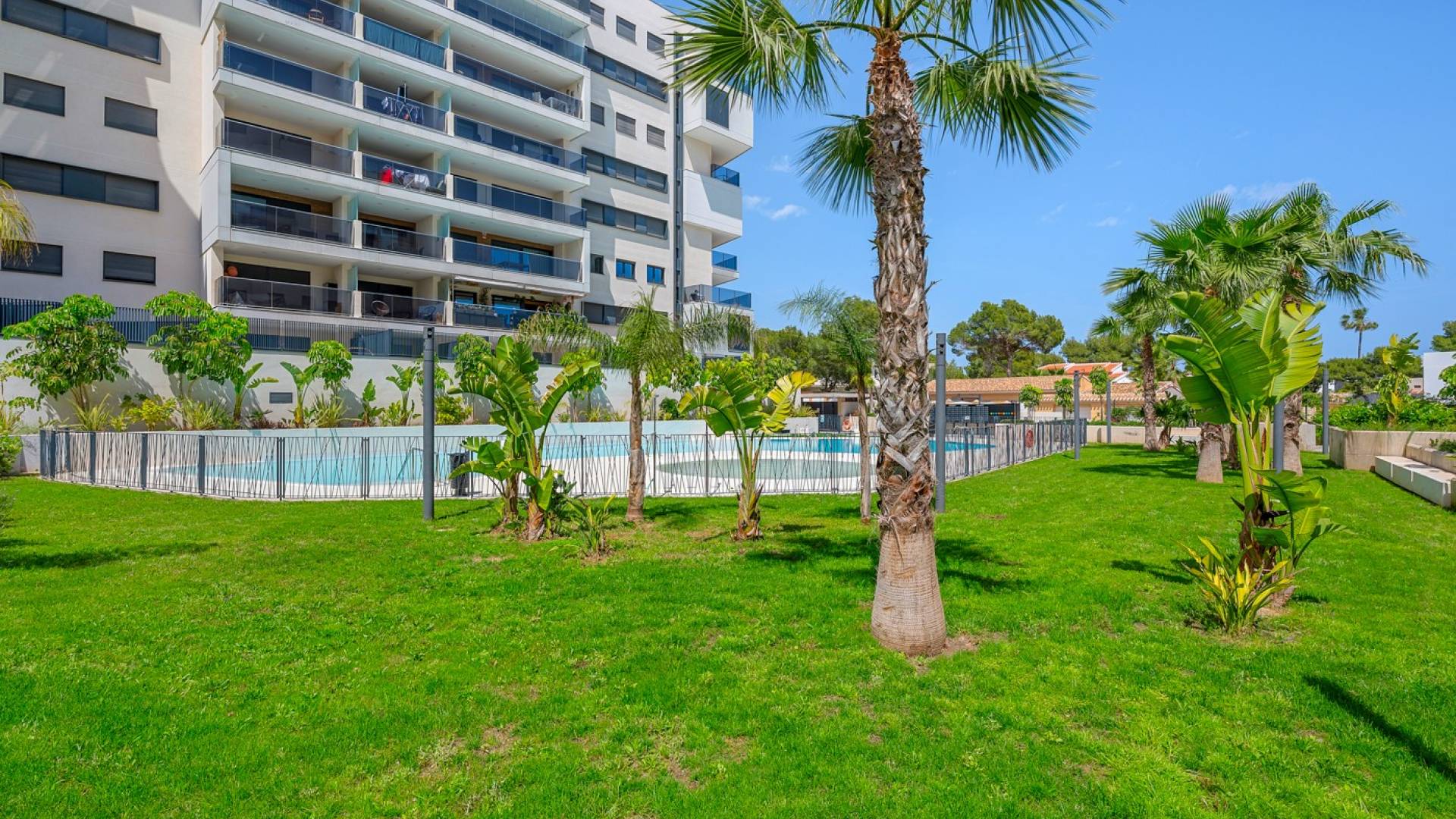 Second hand - Apartamento - Orihuela Costa - Campoamor
