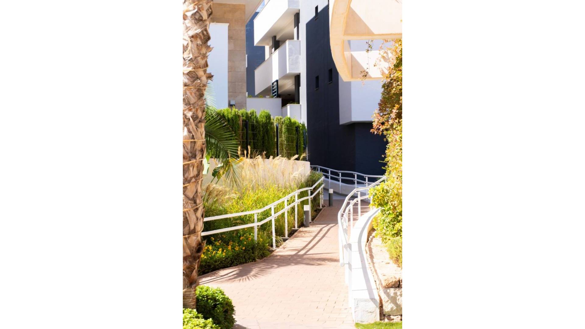Second hand - Apartamento - Orihuela Costa - Playa Flamenca