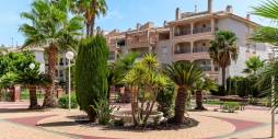 Second hand - Apartamento - Orihuela Costa - Playa Flamenca