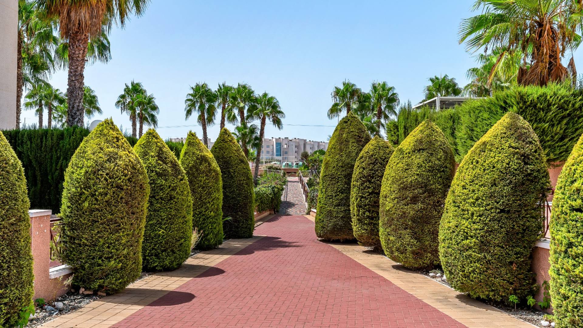 Second hand - Apartamento - Orihuela Costa - Playa Flamenca
