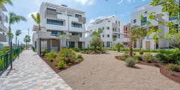Second hand - Apartamento - Torre Pacheco - Santa Rosalia