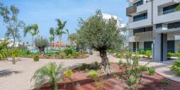 Second hand - Apartamento - Torre Pacheco - Santa Rosalia