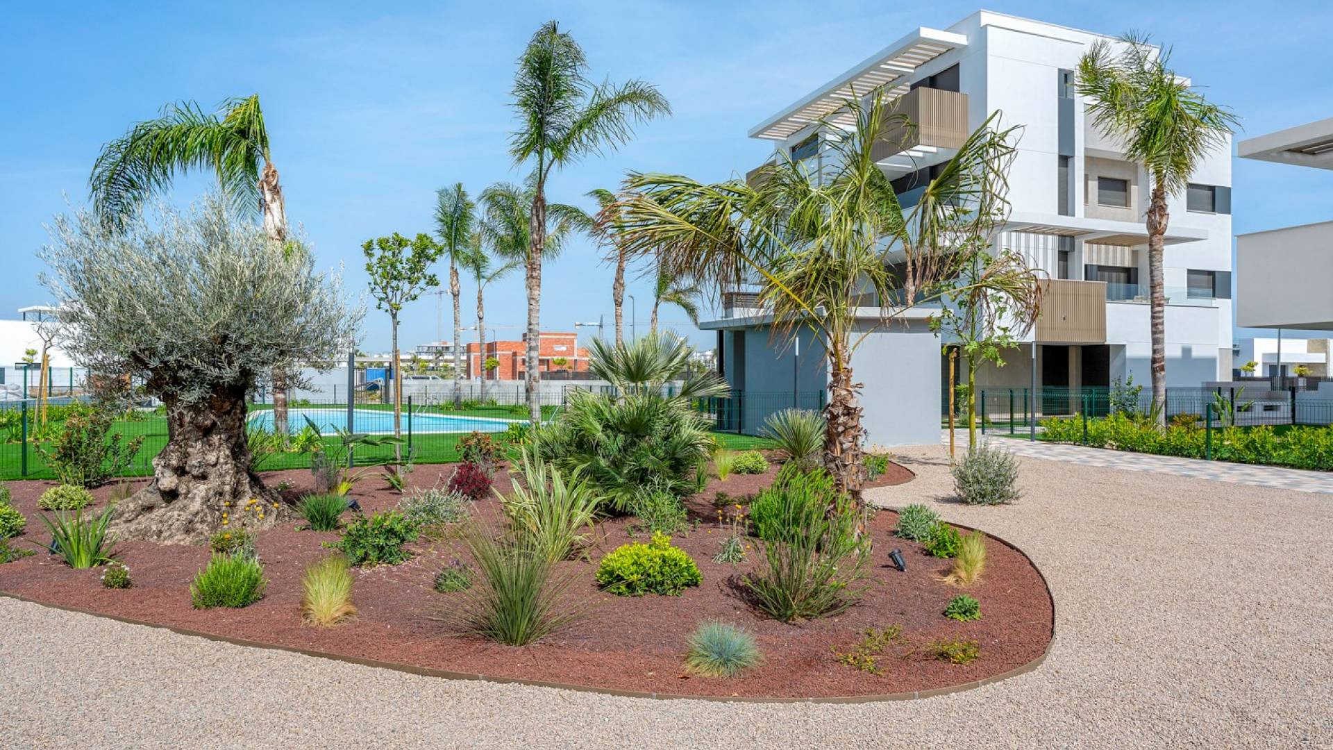 Second hand - Apartamento - Torre Pacheco - Santa Rosalia
