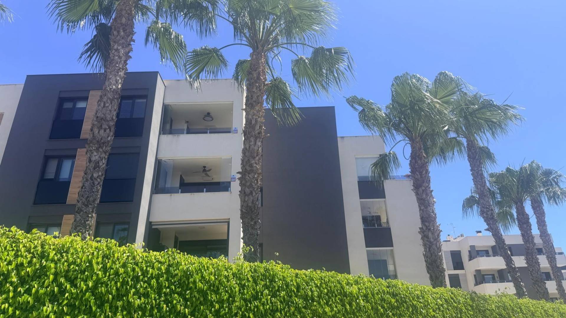 Second hand - Apartamento - Torrevieja - Los altos