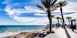 Second hand - Apartamento - Torrevieja - Playa del Cura