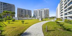 Second hand - Apartamento - Torrevieja - Punta Prima