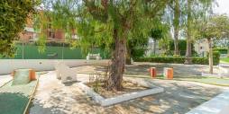 Second hand - Apartamento - Torrevieja - Torreblanca