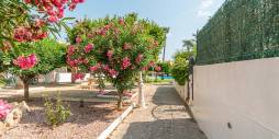 Second hand - Apartamento - Torrevieja - Torreblanca