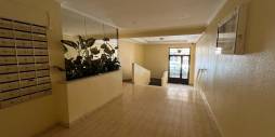 Second hand - Apartamento - Torrevieja