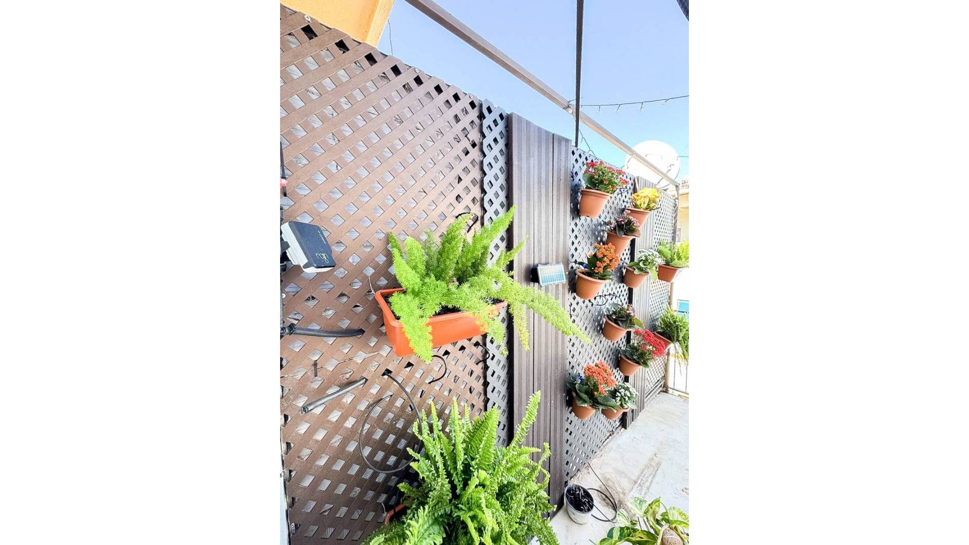 Second hand - Apartment - Benidorm - Levante