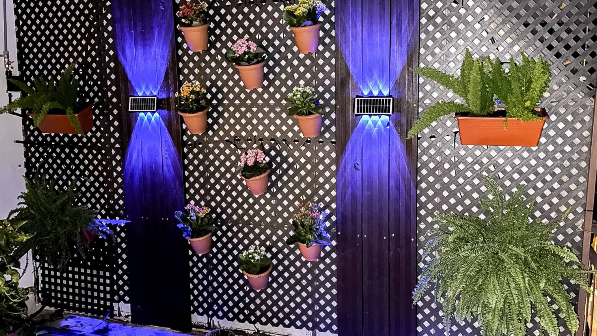 Second hand - Apartment - Benidorm - Levante