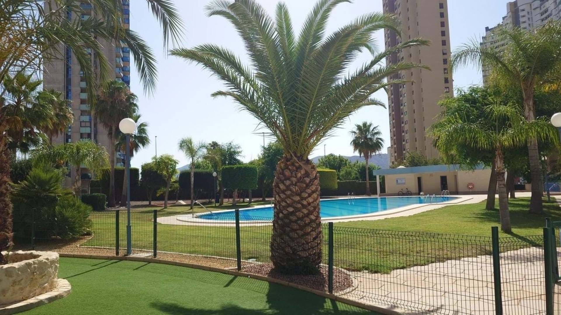 Second hand - Apartment - Flat - Benidorm