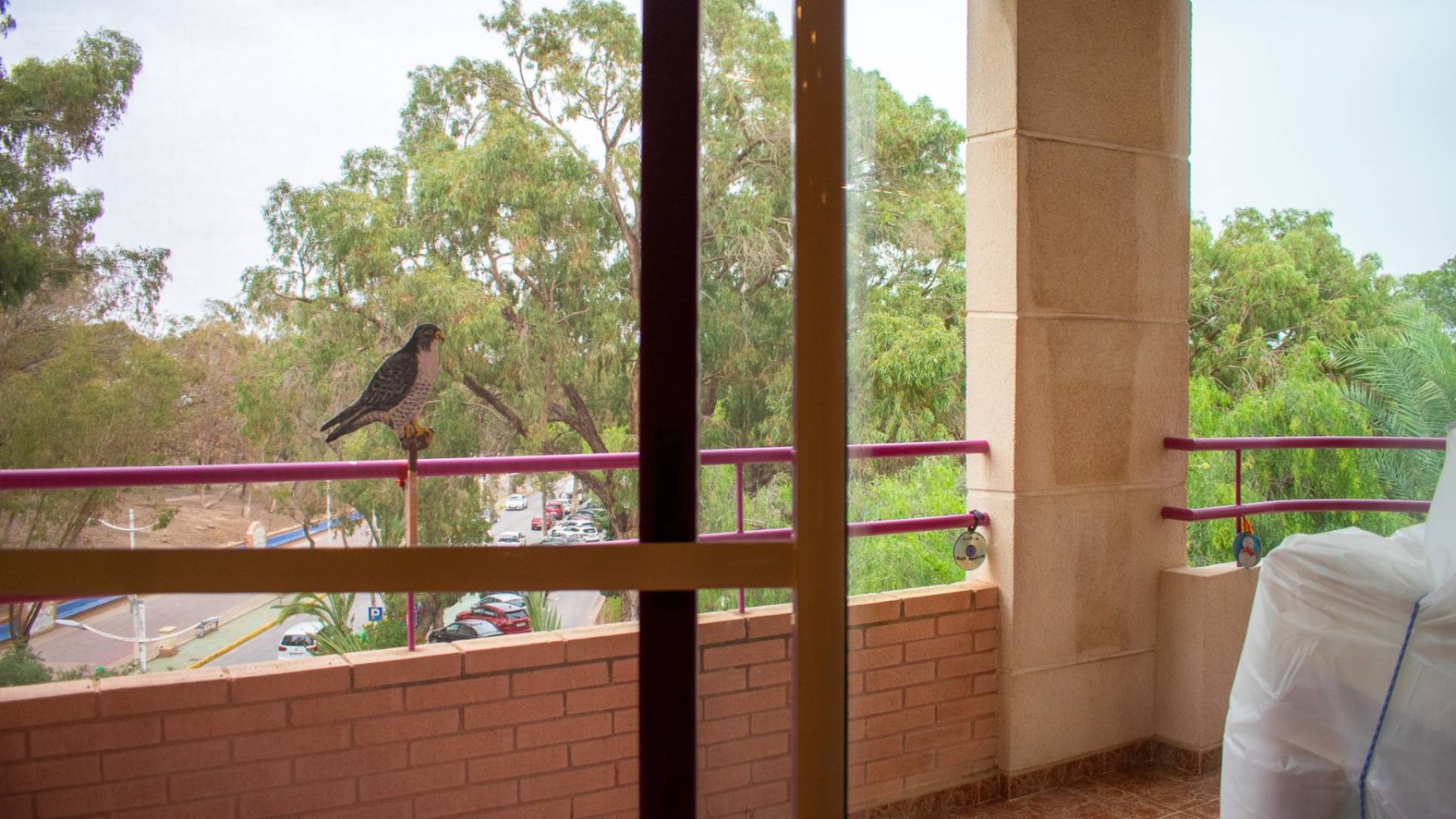 Second hand - Apartment - Flat - Guardamar del Segura - Centro