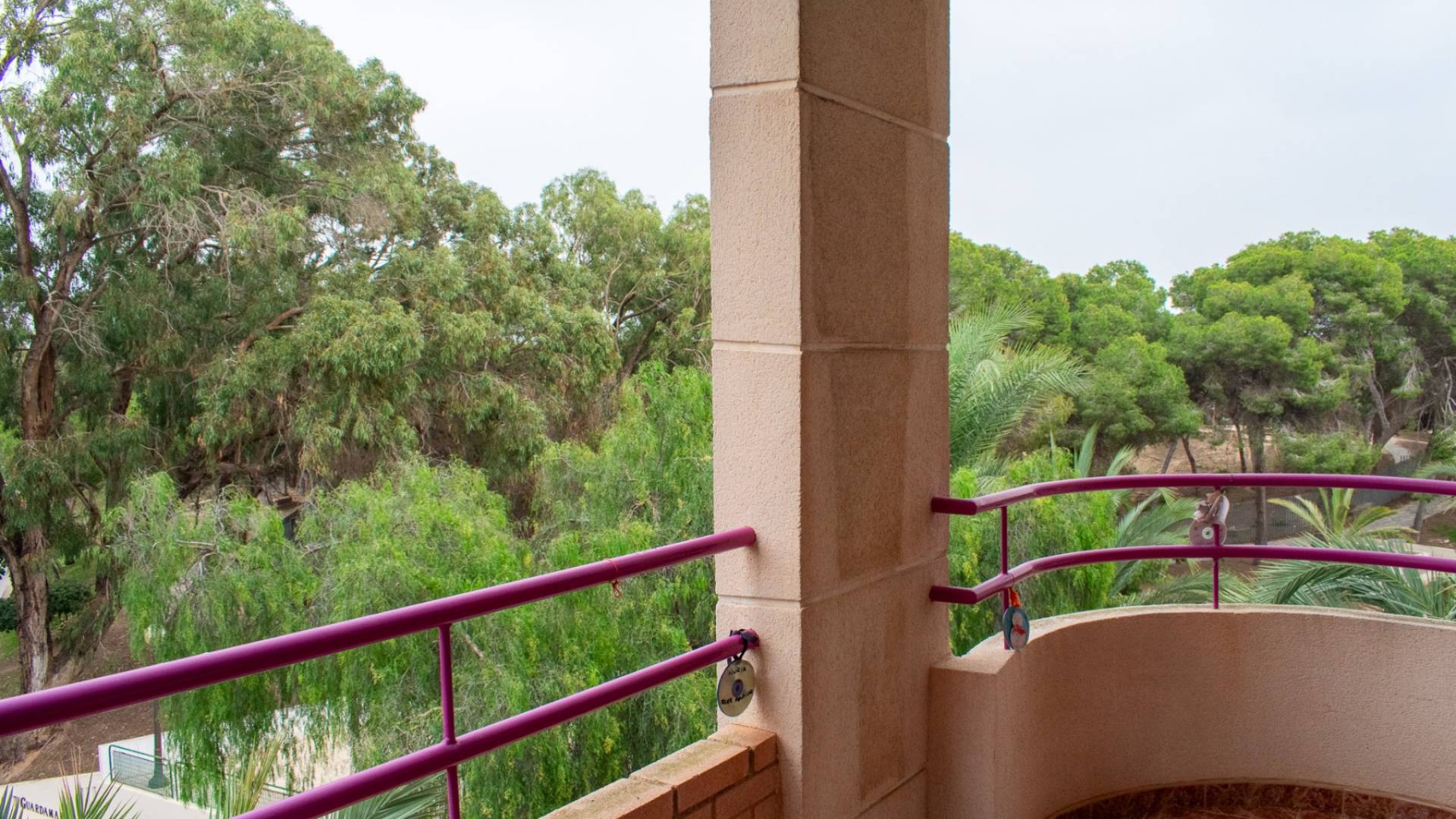 Second hand - Apartment - Flat - Guardamar del Segura - Centro