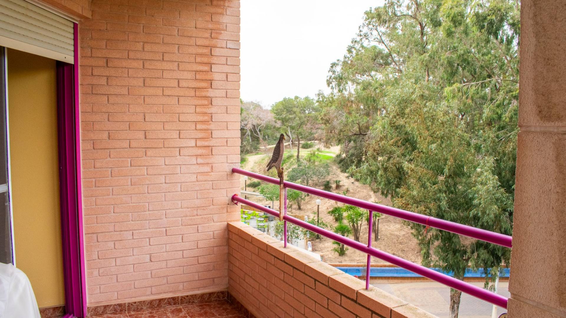 Second hand - Apartment - Flat - Guardamar del Segura - Centro