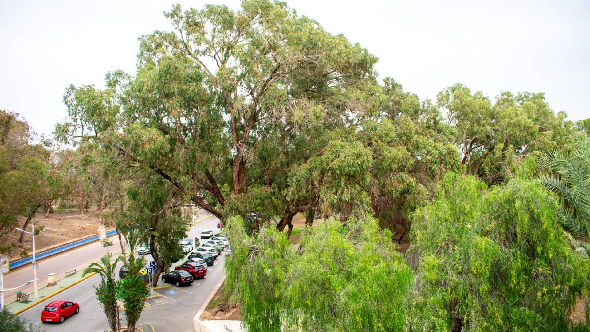 Second hand - Apartment - Flat - Guardamar del Segura - Centro