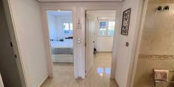 Second hand - Apartment - Flat - Guardamar del Segura - El Raso