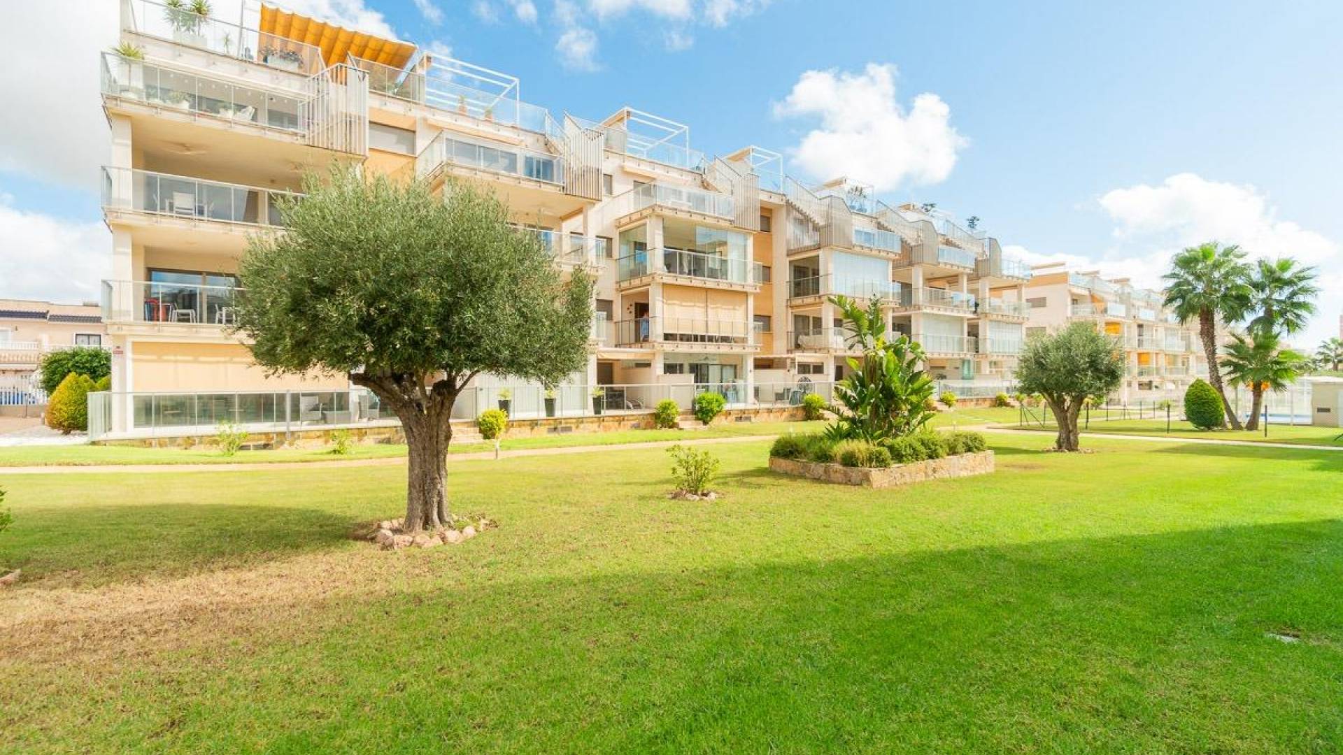 Second hand - Apartment - Flat - Orihuela Costa - Los Dolses