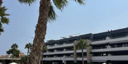 Second hand - Apartment - Flat - Orihuela Costa - Playa Flamenca
