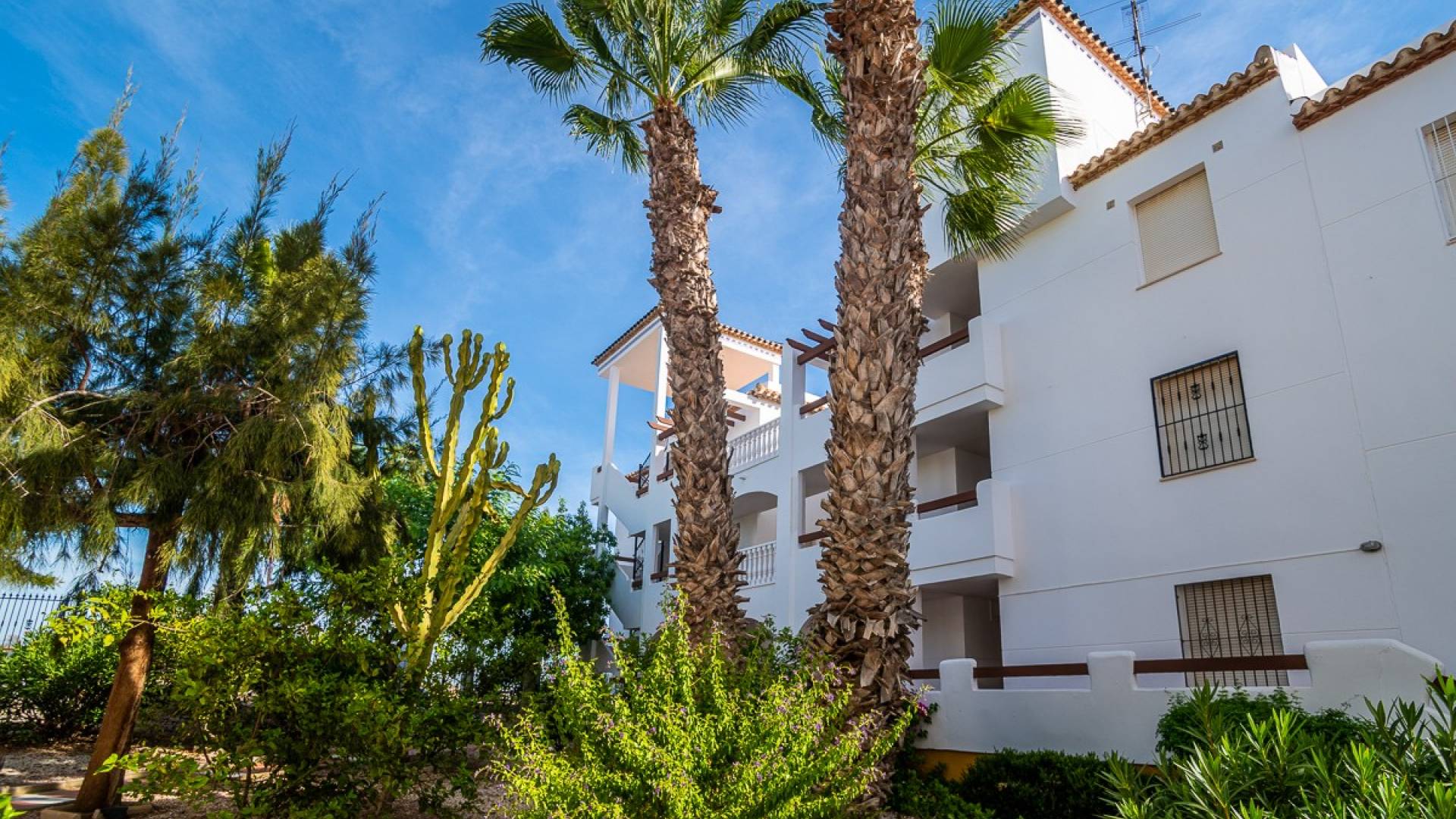 Second hand - Apartment - Flat - Orihuela Costa - Villamartin