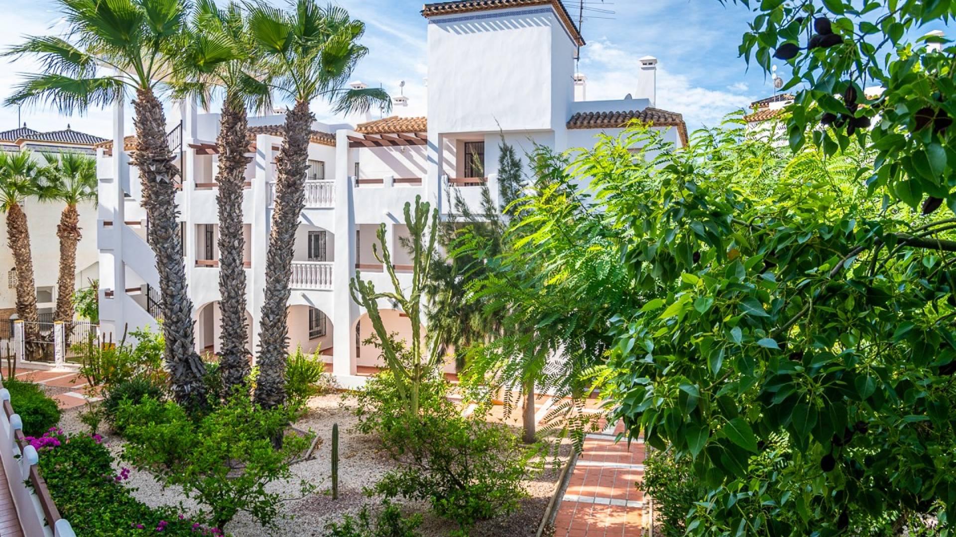 Second hand - Apartment - Flat - Orihuela Costa - Villamartin