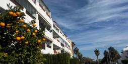 Second hand - Apartment - Flat - Orihuela - Villamartin