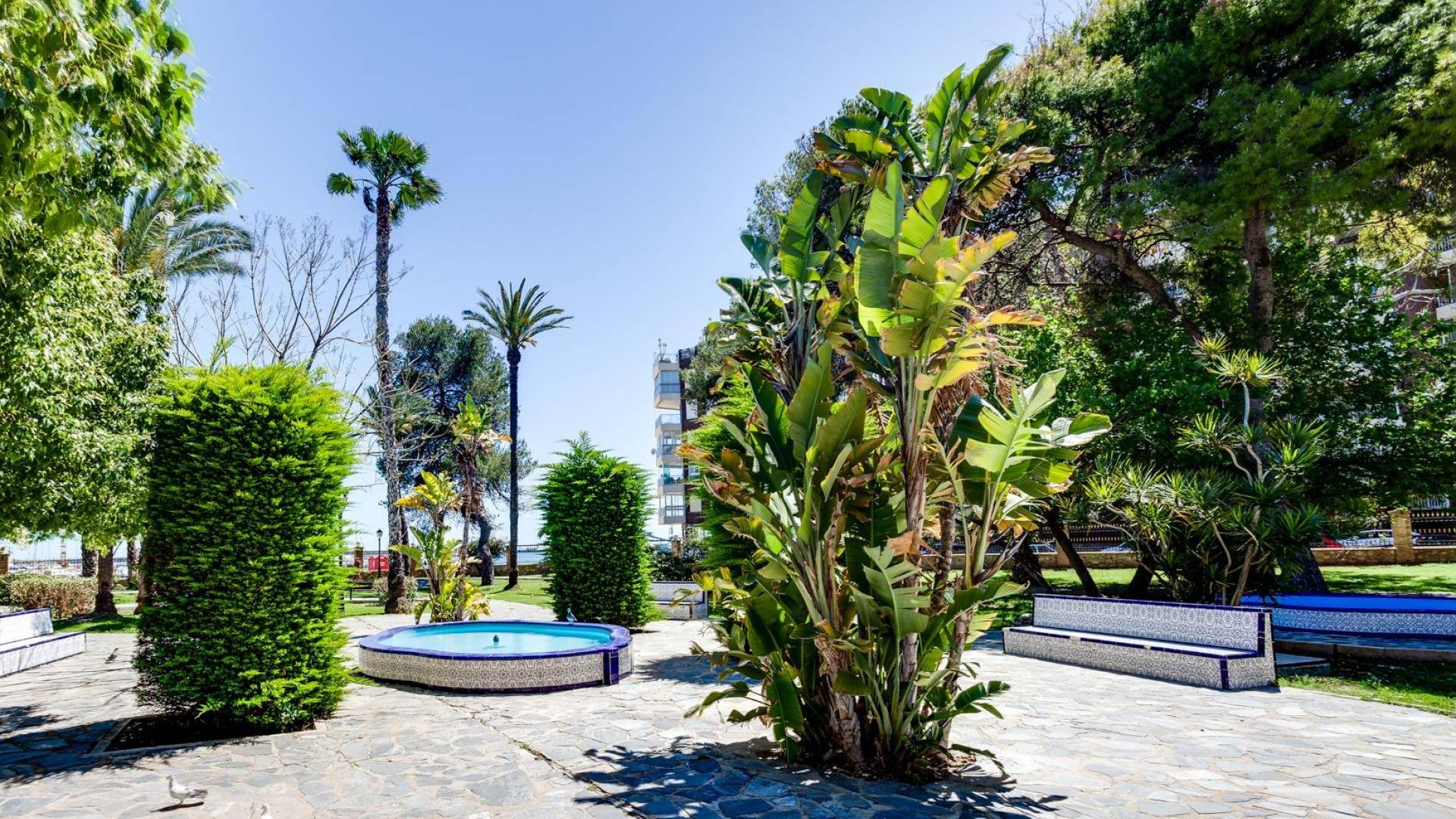 Second hand - Apartment - Flat - Torrevieja - Acequion