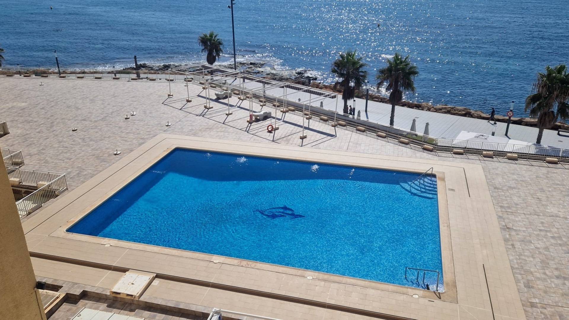 Second hand - Apartment - Flat - Torrevieja - Playa del Cura