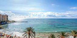 Second hand - Apartment - Flat - Torrevieja - Playa del Cura