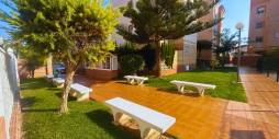 Second hand - Apartment - Flat - Torrevieja - Torrevieja/Calas Blancas
