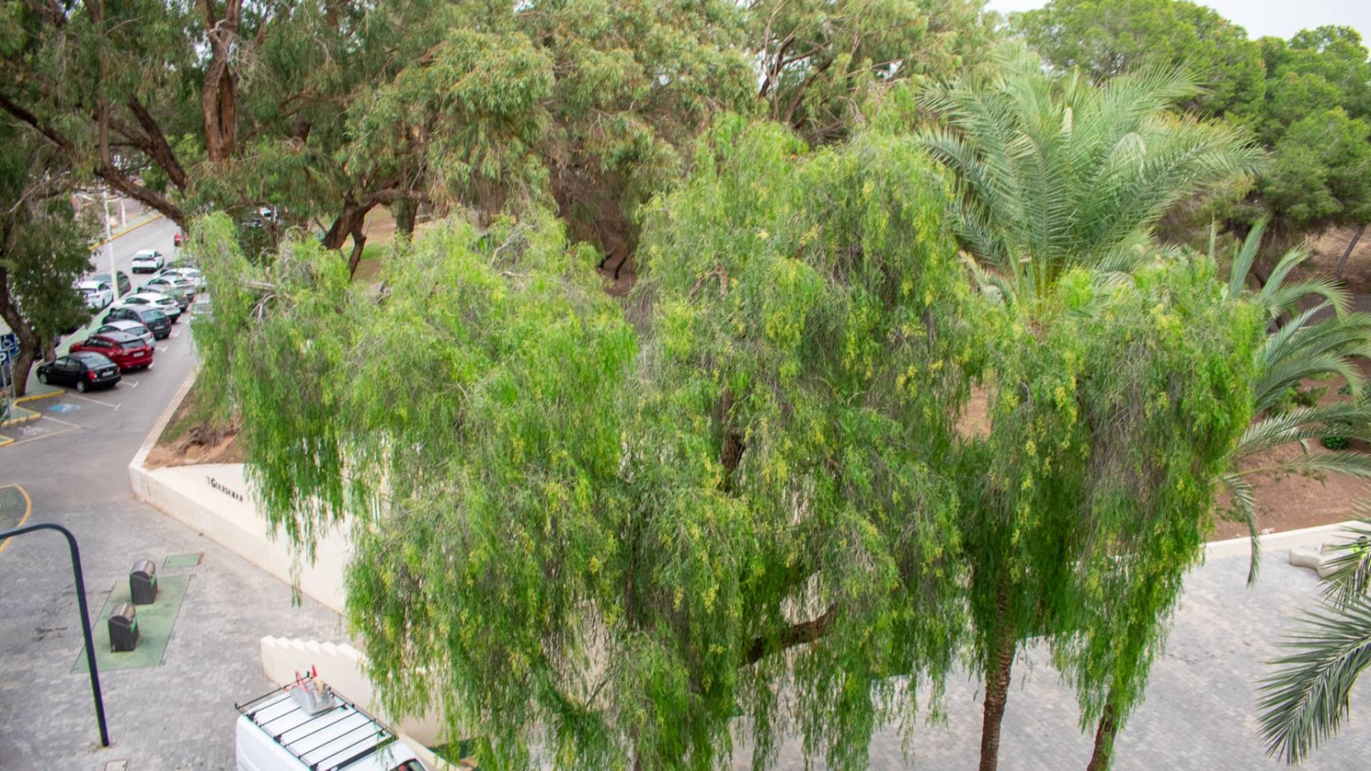 Second hand - Apartment - Guardamar del Segura - Centro