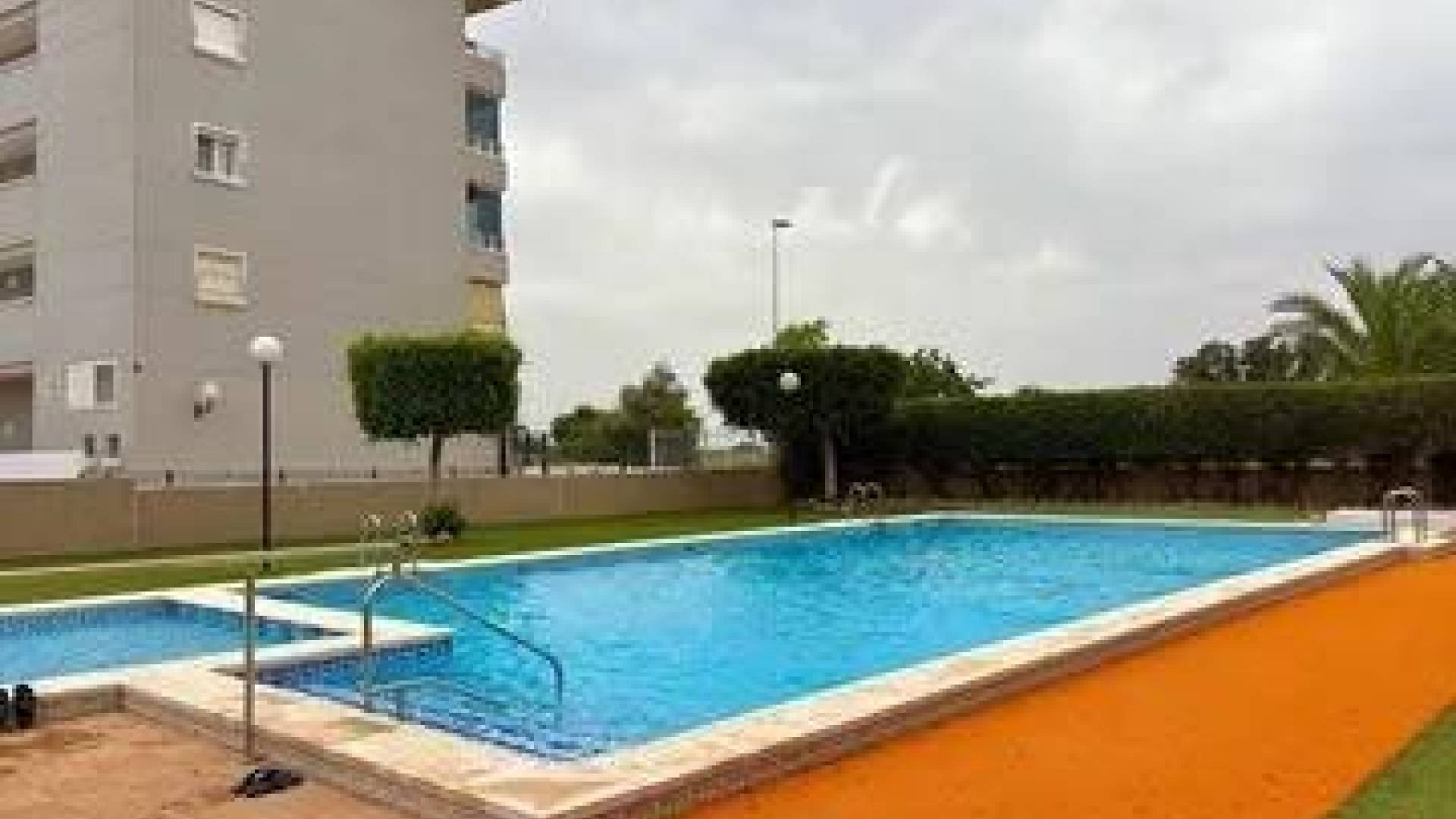 Second hand - Apartment - Guardamar del Segura - CENTRO