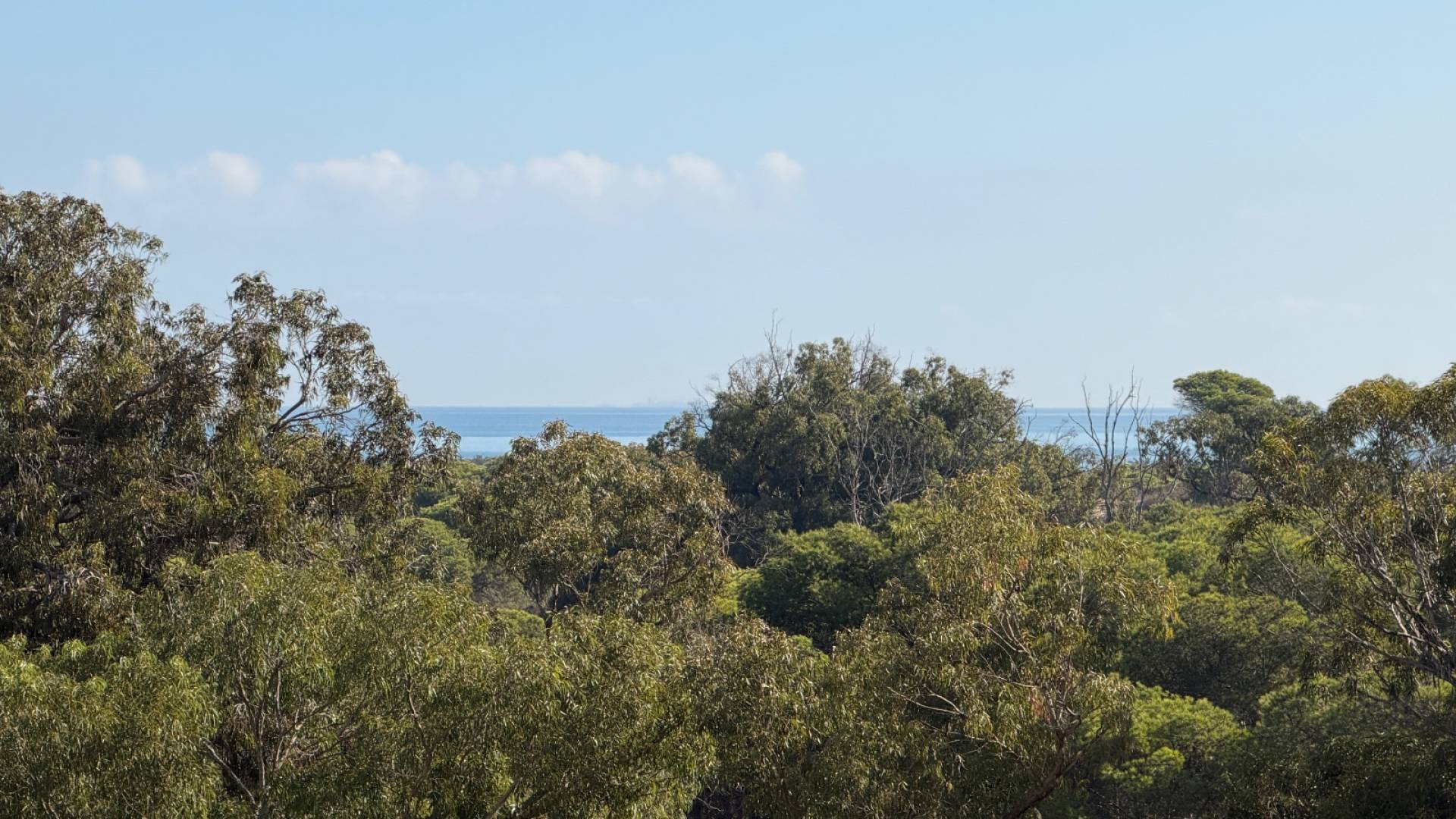 Second hand - Apartment - Guardamar del Segura - Puerto