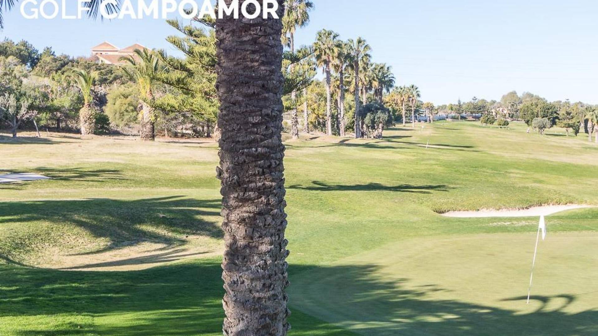 Second hand - Apartment - Orihuela Costa - Campoamor
