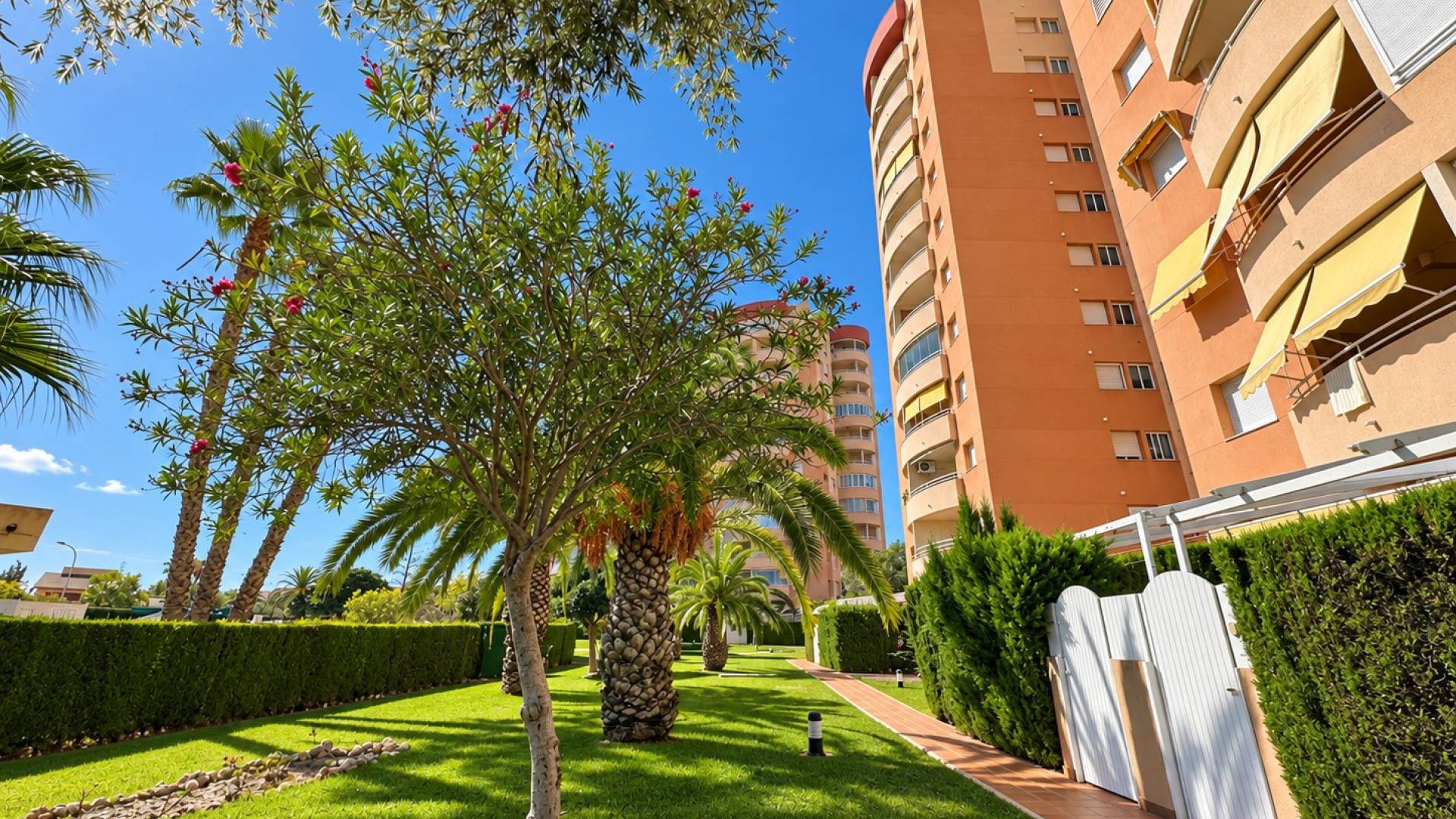 Second hand - Apartment - Orihuela Costa - Campoamor