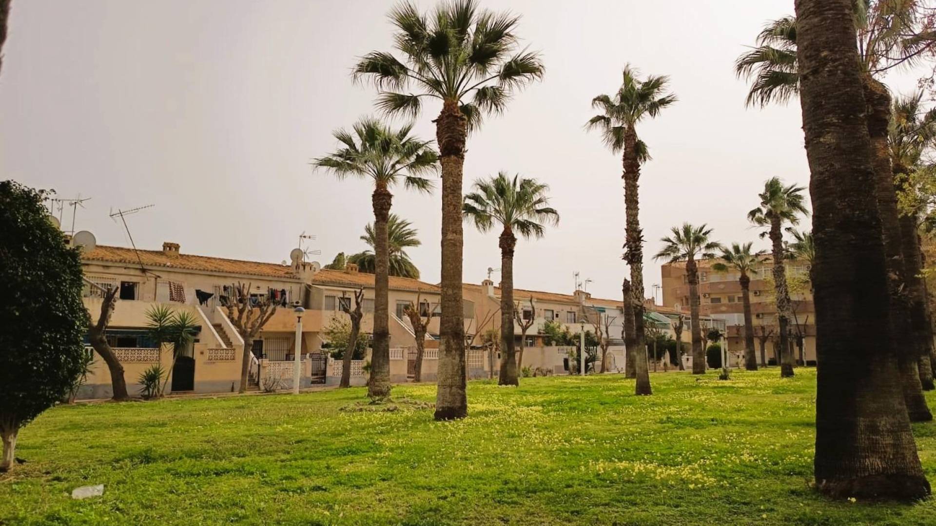 Second hand - Apartment - Orihuela Costa - La Regia