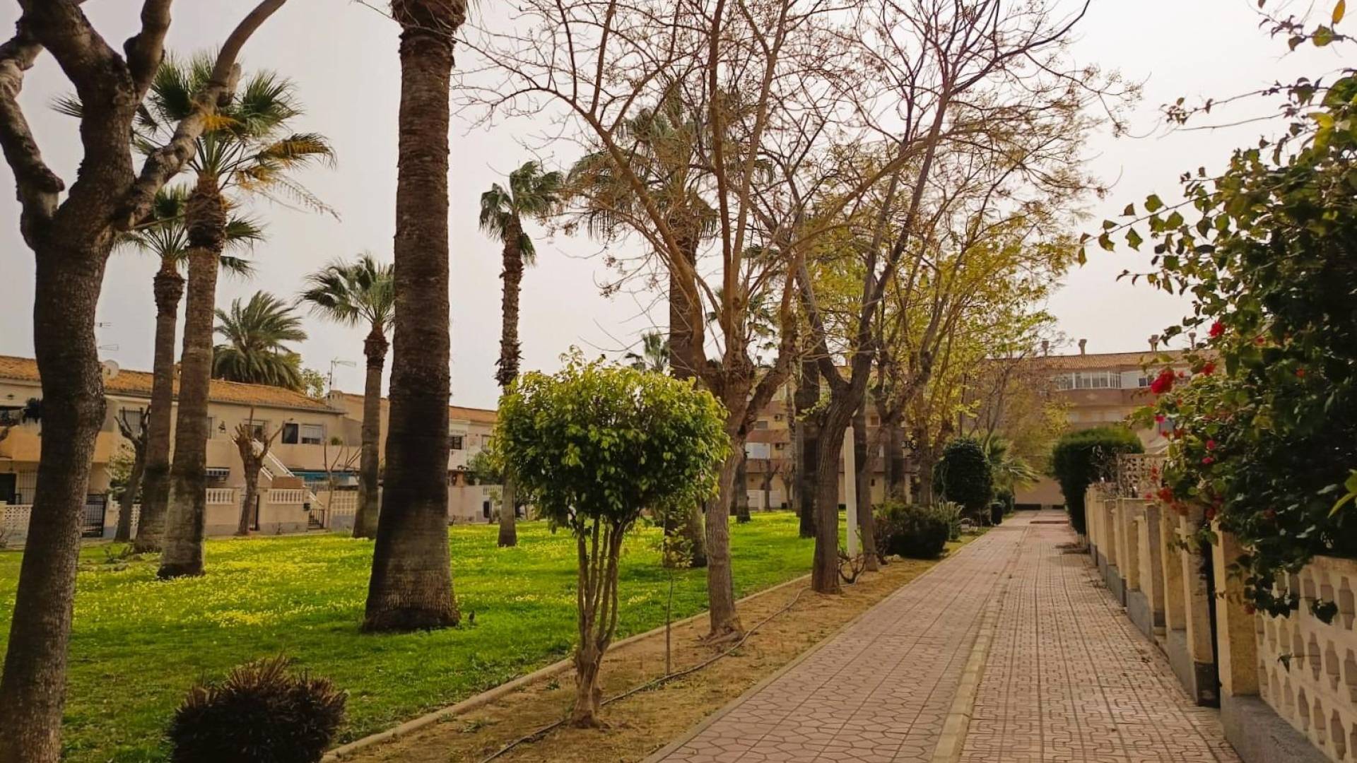 Second hand - Apartment - Orihuela Costa - La Regia