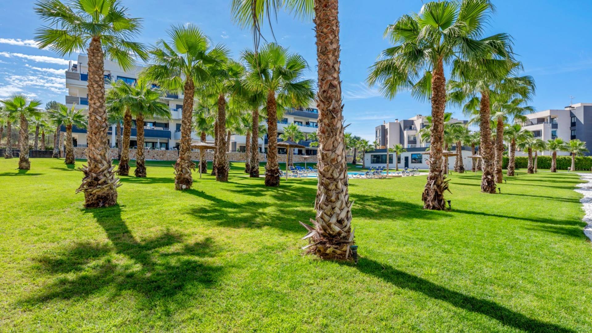 Second hand - Apartment - Orihuela Costa - Los Altos