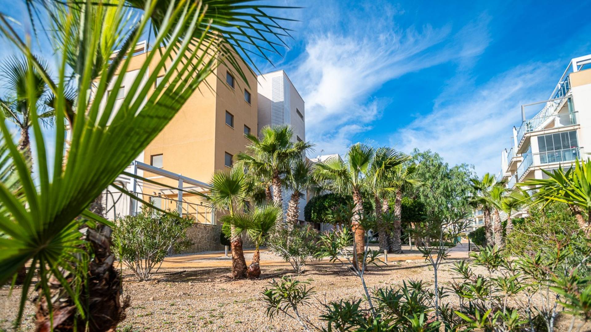 Second hand - Apartment - Orihuela Costa - Los Dolses