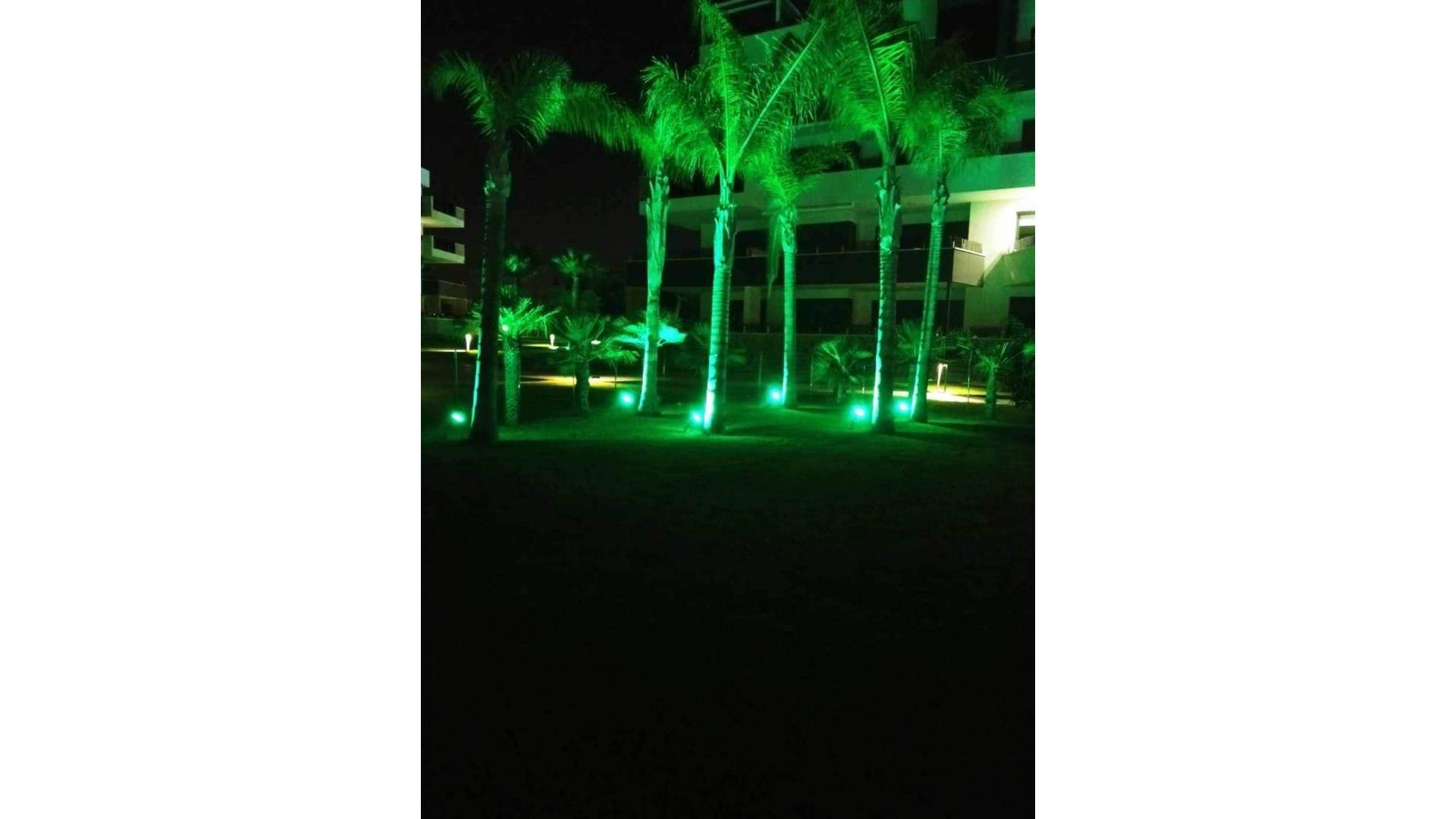 Second hand - Apartment - Orihuela Costa - Playa Flamenca
