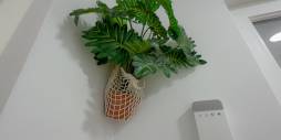 Second hand - Apartment - Torrevieja - Acequion
