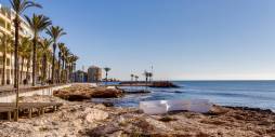 Second hand - Apartment - Torrevieja - Centro