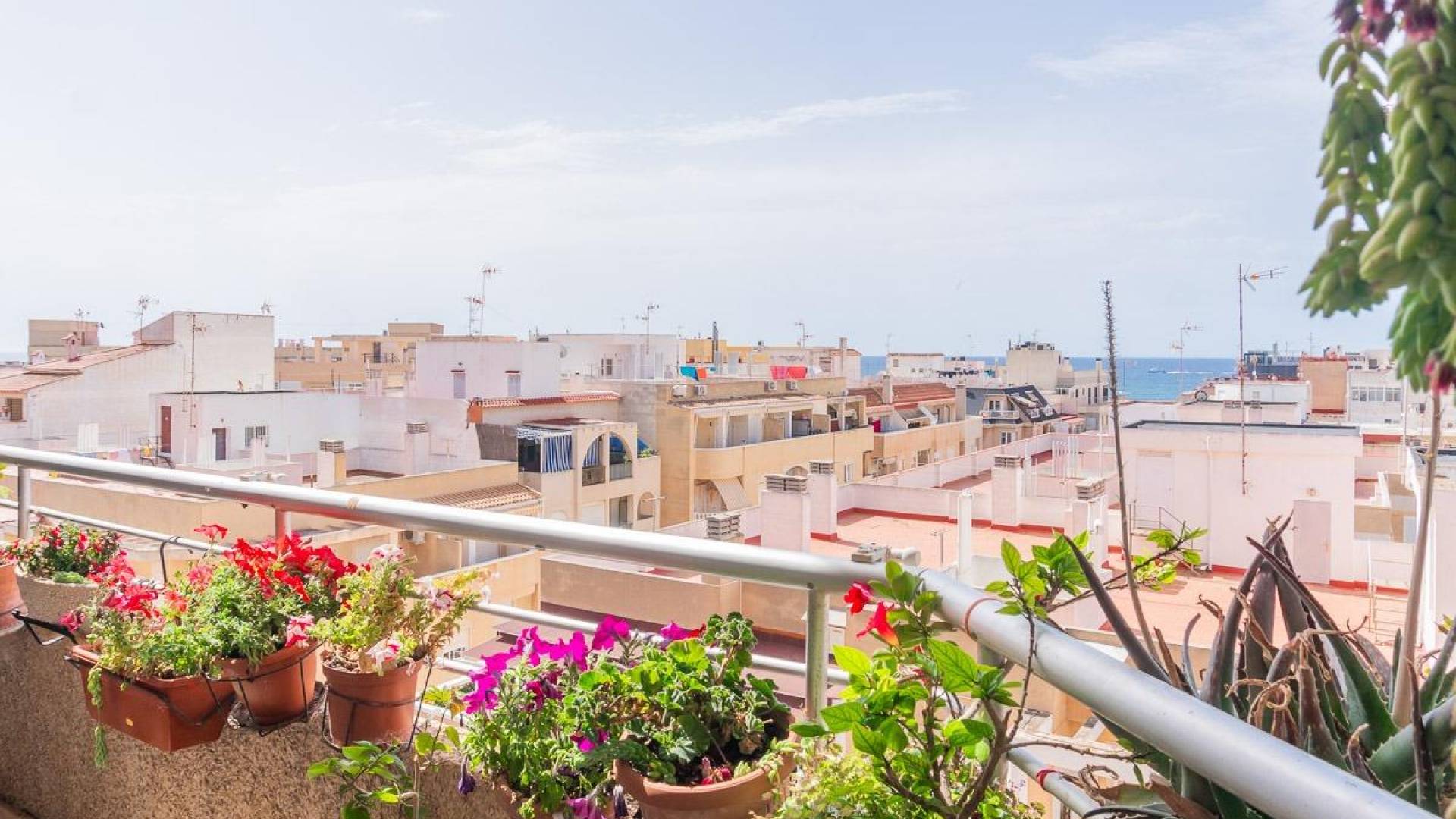 Second hand - Apartment - Torrevieja - Curva del Palangre