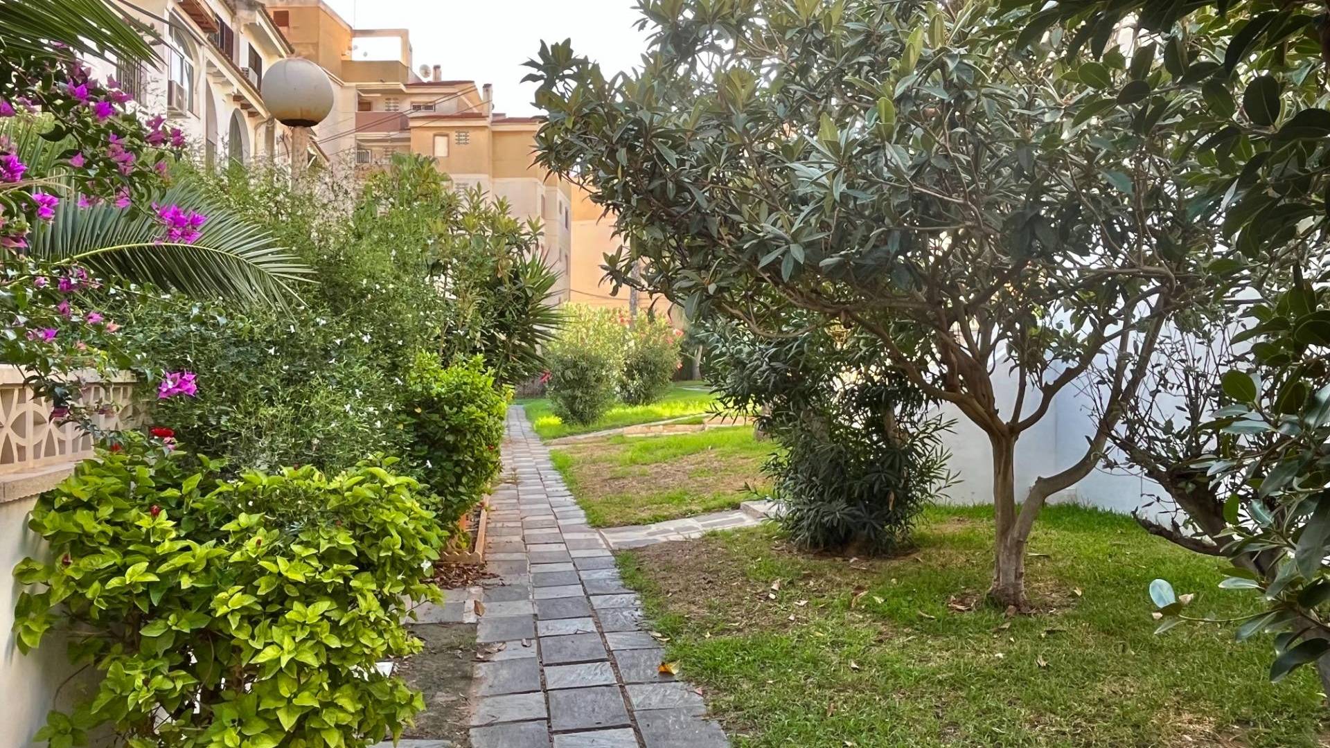 Second hand - Apartment - Torrevieja - Estacion de autobuses