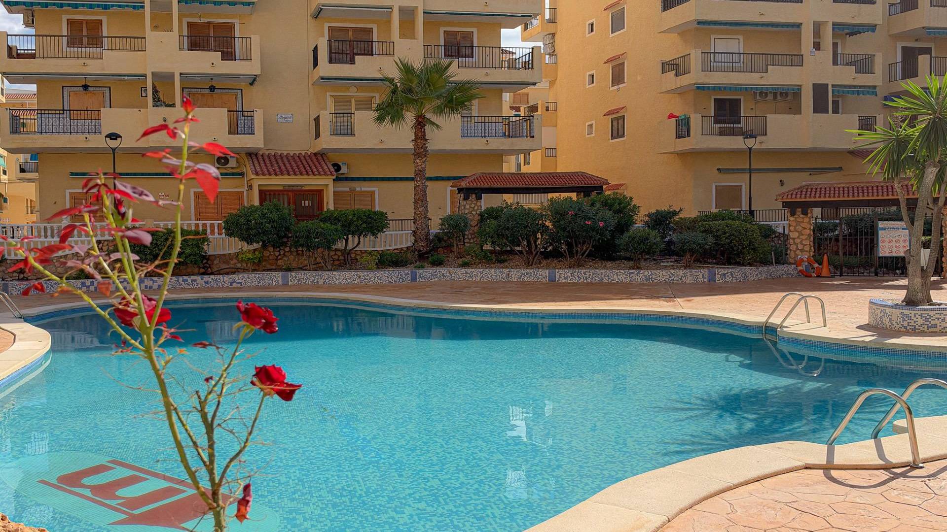 Second hand - Apartment - Torrevieja - La Mata
